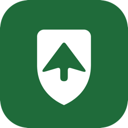 Значок Taiga VPN
